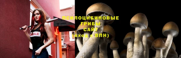 дмт Белоозёрский