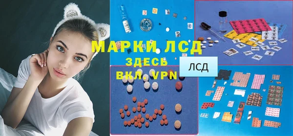 эйфоретик Белокуриха