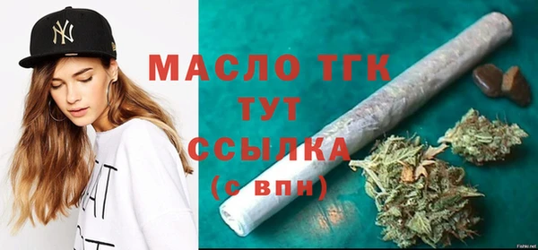 гашик Инта