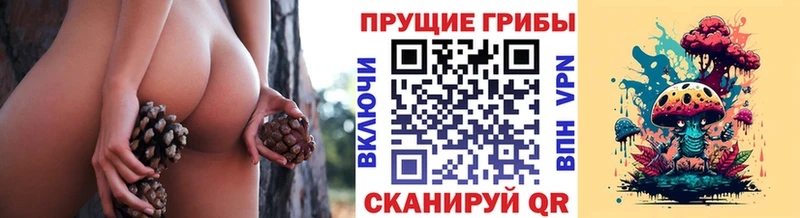 Галлюциногенные грибы Magic Shrooms  где продают   Всеволожск 